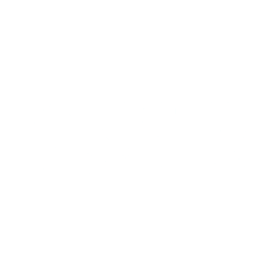 CSR - 白いロゴ
